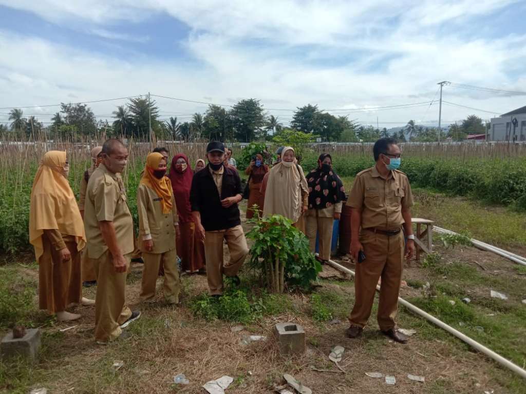 Kunjungan Perdana Kadis DKPP di Lahan Demplot Tomat di Keluarahan Padebuolo, (Petani Penggarap a.n Abd. Rahman Otoluwa. Selasa, 15 September 2020.