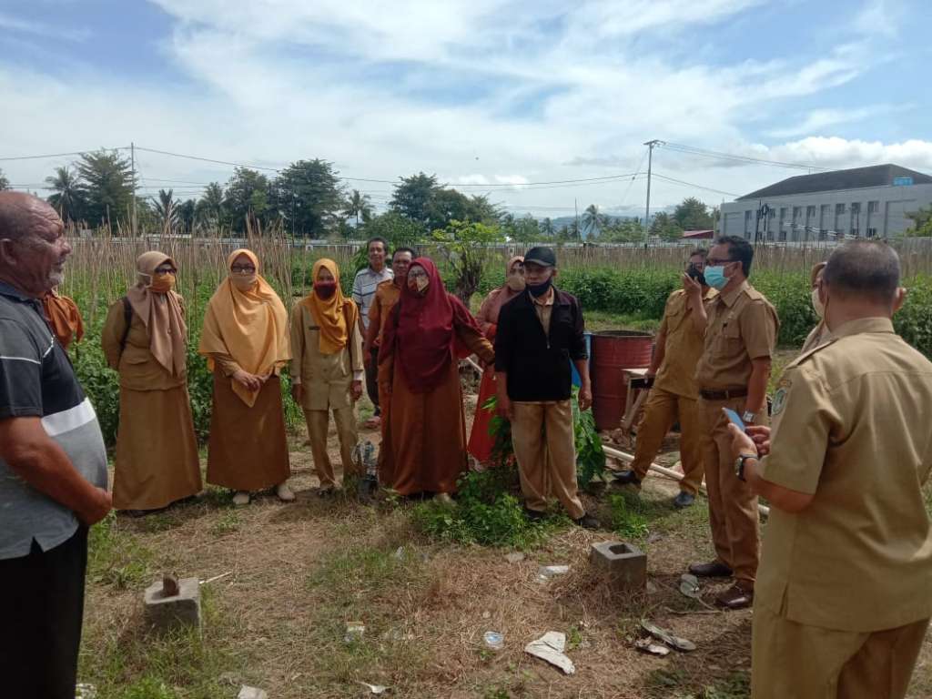 Kunjungan Perdana Kadis DKPP di Lahan Demplot Tomat di Keluarahan Padebuolo, (Petani Penggarap a.n Abd. Rahman Otoluwa. Selasa, 15 September 2020.