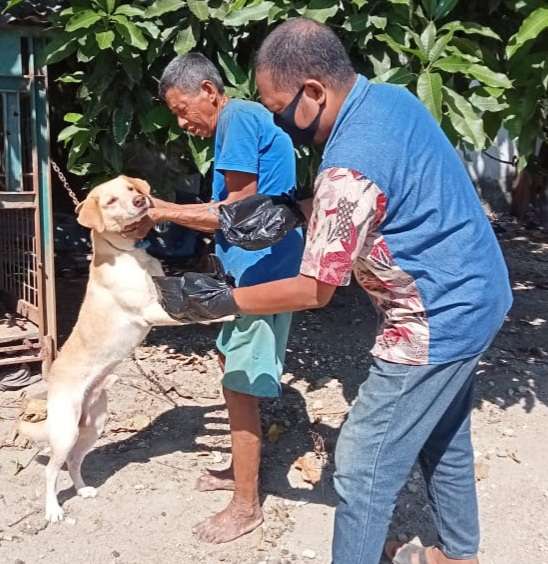 Vaksin Tembak Dua Ekor Anjing Jantan di Kel. Heledulaa Selatan